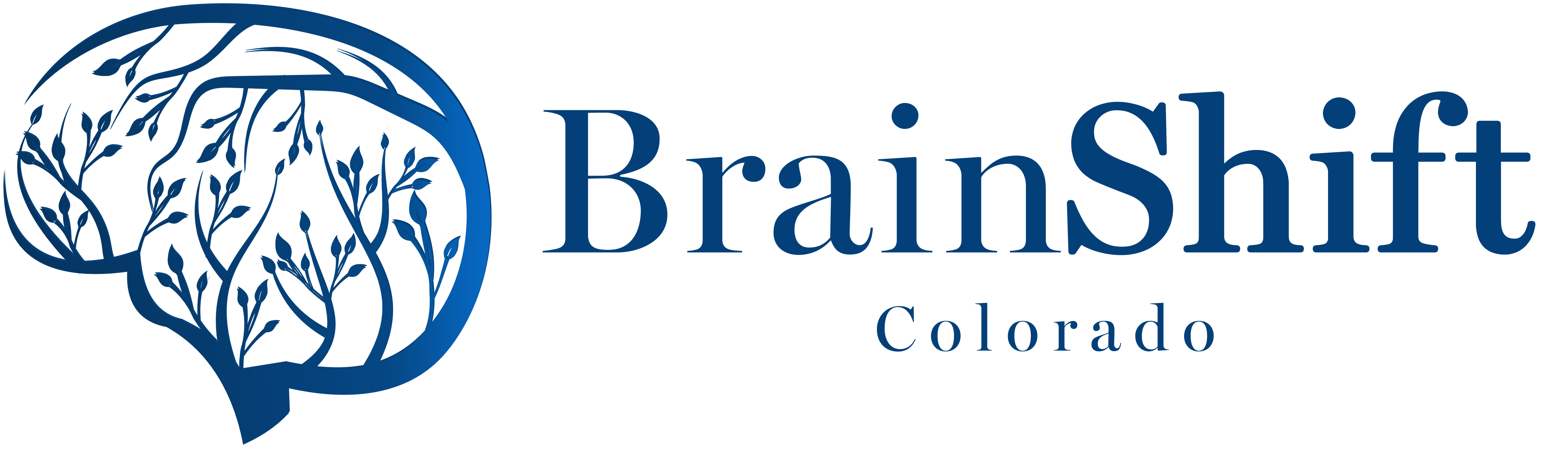 Brain Shift Colorado