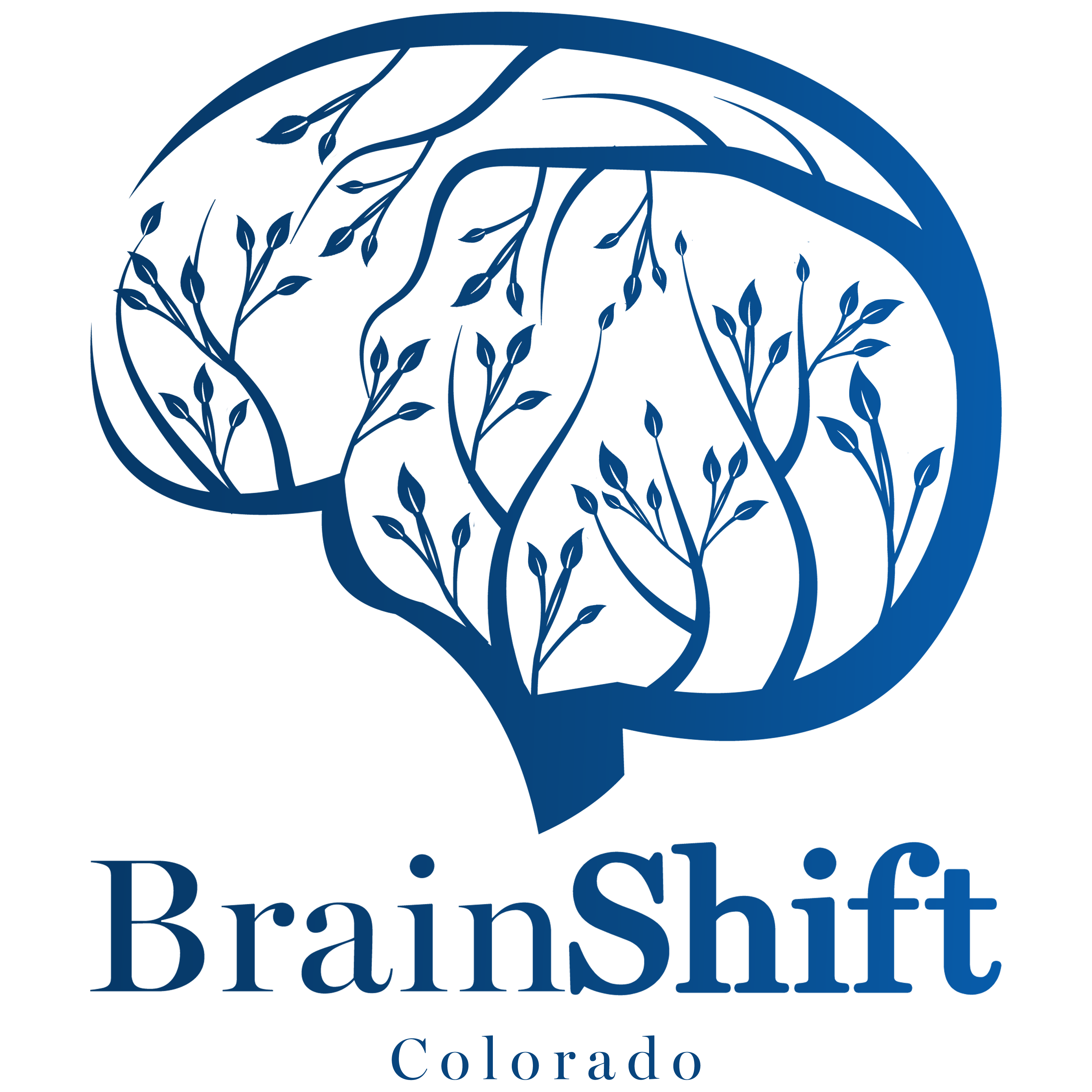 Brain Shift Home - Brain Shift Colorado